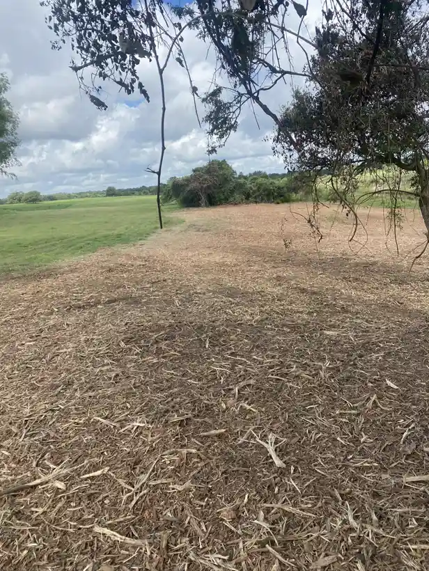 Freshly mulched ground meeting green pasture under a big cloudy sky